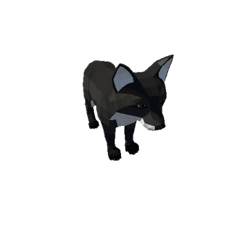 Fox_cub_3