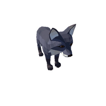 Fox_cub_6