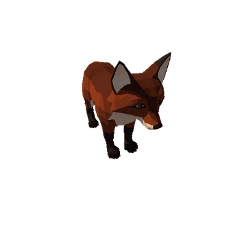 Fox_cub_7