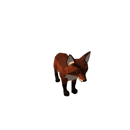 Fox_cub_7