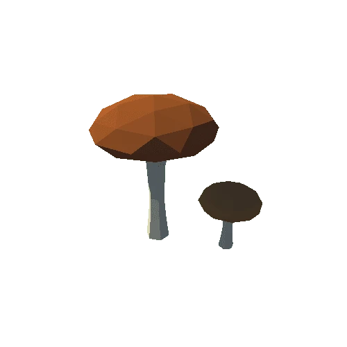 NHP_Mushroom_A1_02