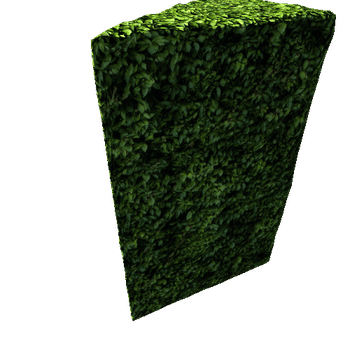 TRIANGULARFILLETBoxHedge01