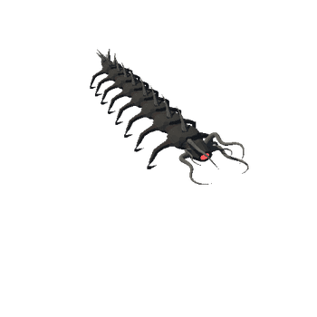 Centipede