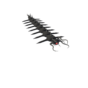 Centipede_1