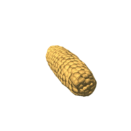 Corn_1B3