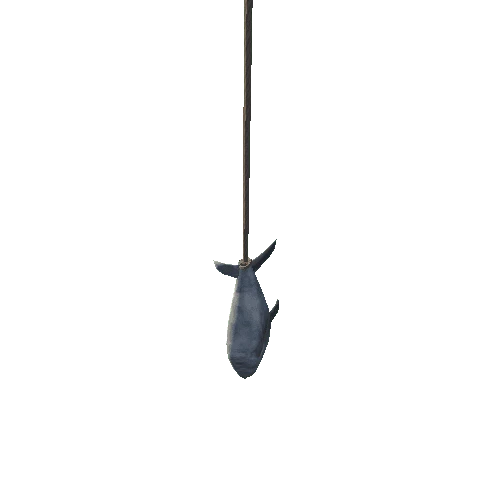 Fish_Hanging_1A2