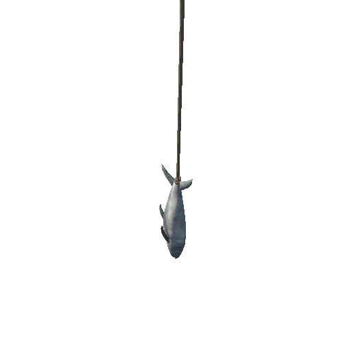 Fish_Hanging_1A3