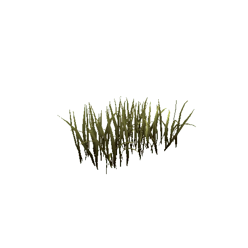 Grass_Group_1A2