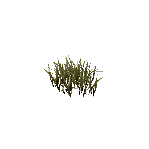 Grass_Group_1A3