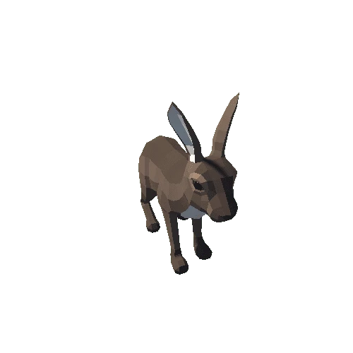 LowPoly_Hare_7