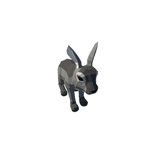 LowPoly_Hare_Cub_4