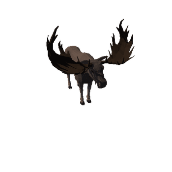 LowPoly_Moose_bull_3