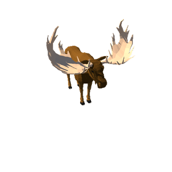 LowPoly_Moose_bull_8