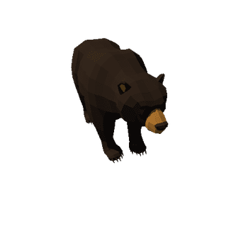 LowPoly_Bear_07