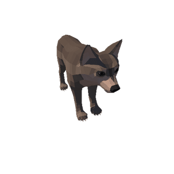 LowPoly_Wolf_Cub_5