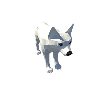 LowPoly_Wolf_Cub_6