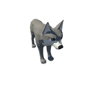 LowPoly_Wolf_Cub_8