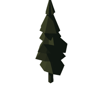 Spruce_003