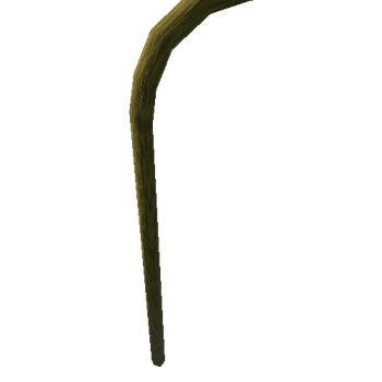 Pref_Palm_FruBranch_Ani