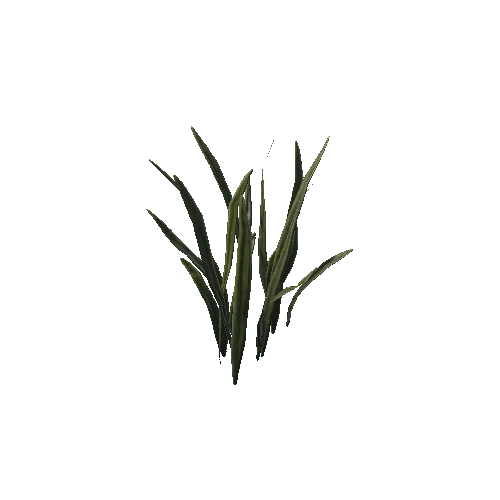 P_tdFF_Grass_Tall_3