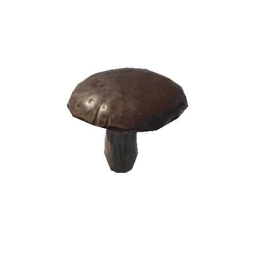 P_tdFF_Mushroom_2_1