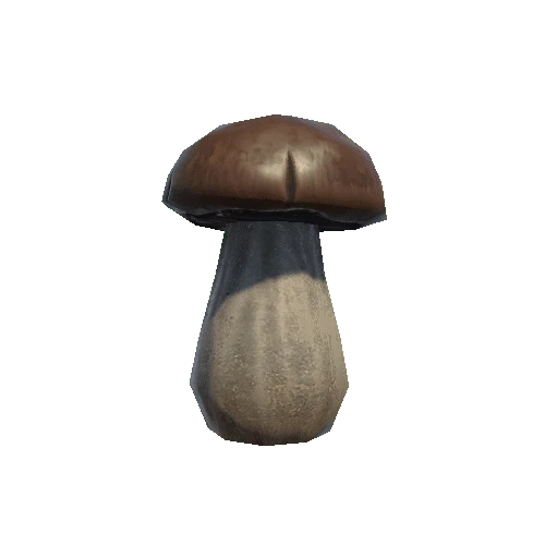 P_tdFF_Mushroom_2_2