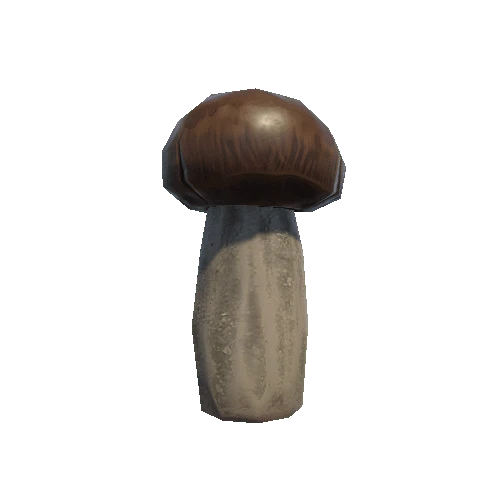 P_tdFF_Mushroom_2_3