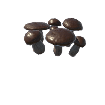 P_tdFF_Mushroom_2_Group_3