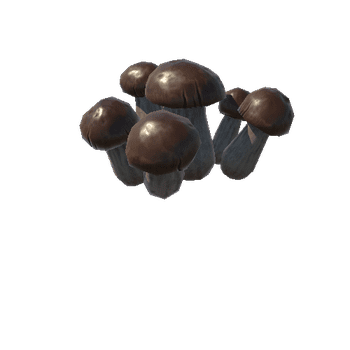 P_tdFF_Mushroom_2_Group_4