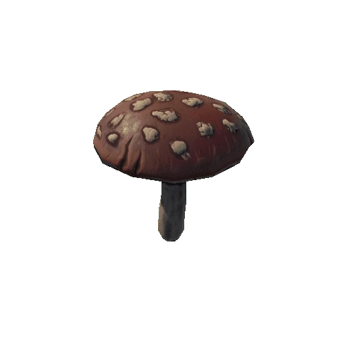 P_tdFF_mushroom_1_2