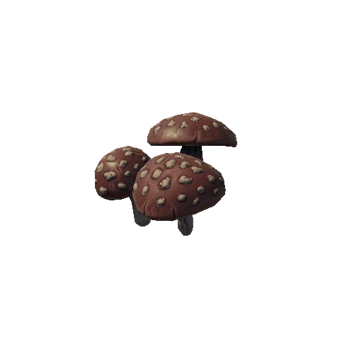 P_tdFF_mushroom_1_group_1