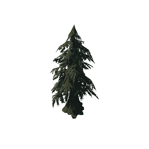 P_tdFF_spruce_02