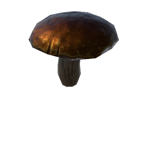 P_Mushroom_2_1