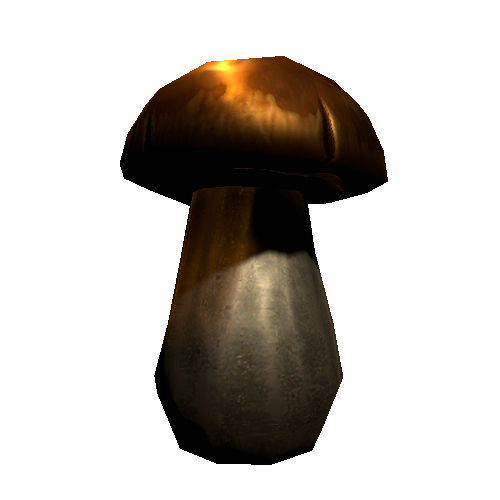 P_Mushroom_2_2