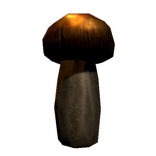 P_Mushroom_2_3