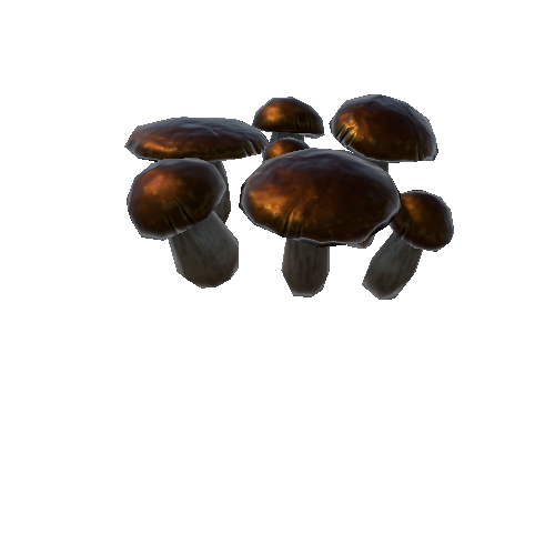 P_Mushroom_2_Group_3