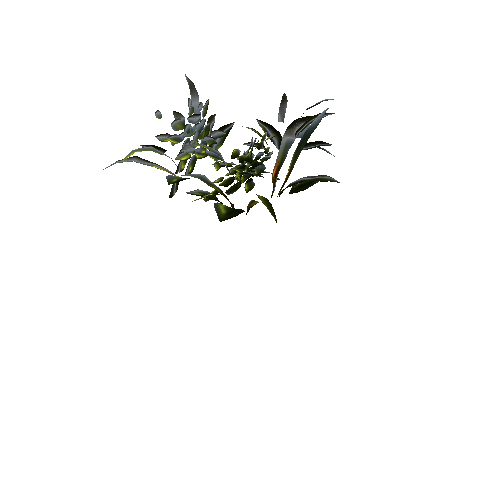 P_Plants_1