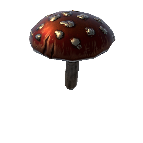 P_mushroom_1_2