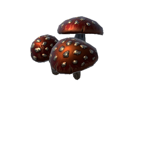 P_mushroom_1_group_1