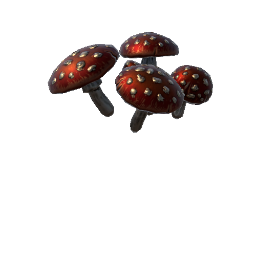 P_mushroom_1_group_4