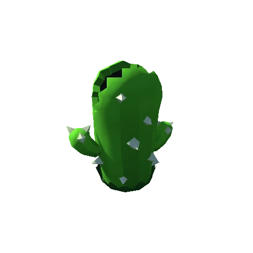 Cacti