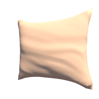Pillow02