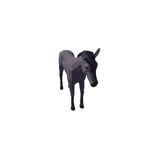 Horse_foal_5