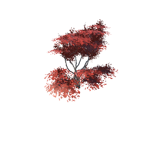 DF_JP_Tree_05