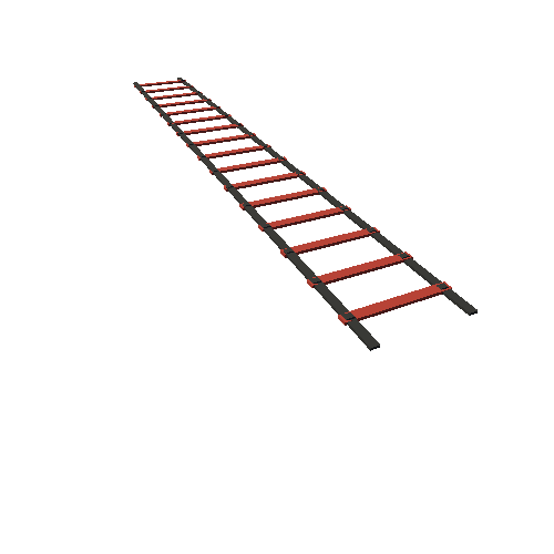 AgilityLadder_01