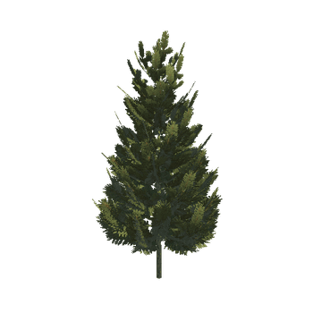 Pine_01