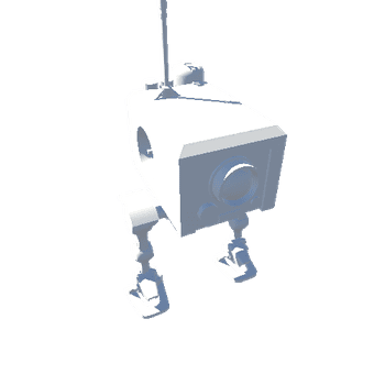 wanderer_robot_rig