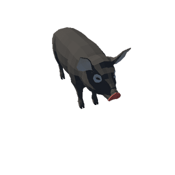 LowPoly_Pig_6