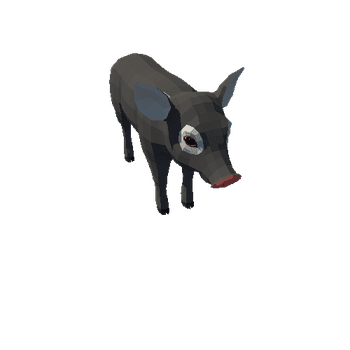 LowPoly_Piggy_6