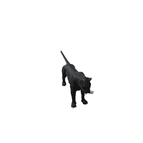 Panther1_Skin